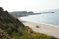 230927 Parghelia_0008