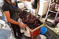 230929 Taormina_0042