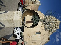 231007 Matera_0052