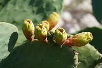 231011 Santa Maria di Leuca_0039