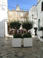 231014 Ostuni Monopoli B_0024