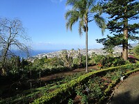 240307 Madeira B_0002