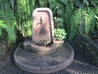 240307 Madeira B_0010