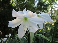 240307 Madeira B_0014