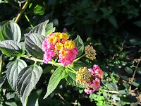 240307 Madeira B_0015