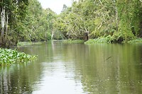 JWF03374