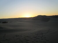 260924 Huacachina B_0147