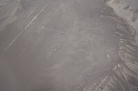 260926 Nazca J_0041