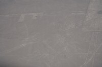260926 Nazca J_0046