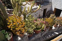 260928 Arequipa J_0021