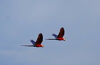 261009 Smsxonr J_0165