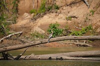 261009 Smsxonr J_0175