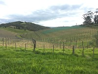 Waiheke Island