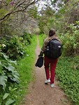 Waiheke Island