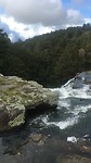 Whangarei Falls