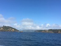 Bay of Islands Tour