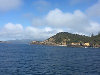 Bay of Islands Tour