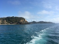 Bay of Islands Tour