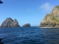 Bay of Islands Tour