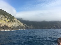 Bay of Islands Tour