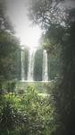 Whangarei Falls