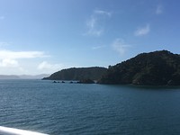 Bay of Islands Tour