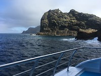 Bay of Islands Tour