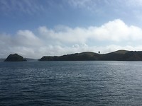 Bay of Islands Tour