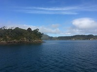 Bay of Islands Tour