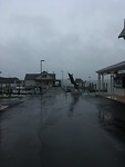 Rainy day in Paihia