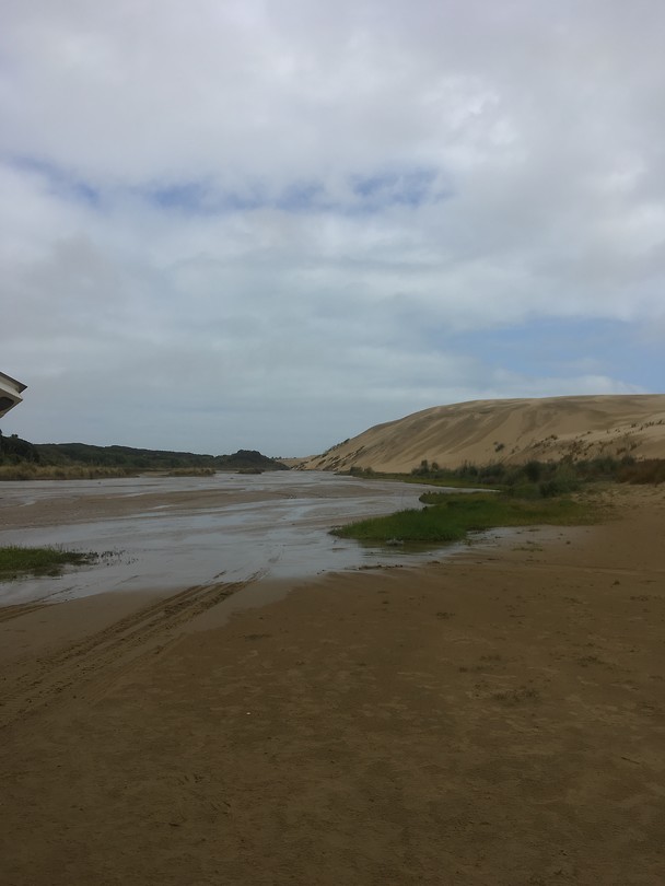 Sandboarding