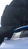 Bay of Islands Tour