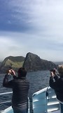 Bay of Islands Tour