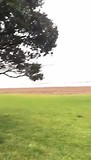 Rainy day in Paihia