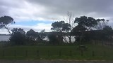 Northland Impressions