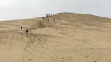Sandboarding
