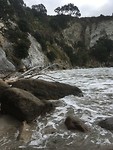 Cathedral Cove