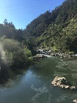 Hot Water Beach to Waitomo, stop at Kaimai-Mamku Forest