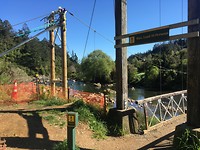 Hot Water Beach to Waitomo, stop at Kaimai-Mamku Forest