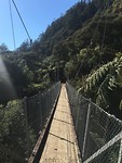 Hot Water Beach to Waitomo, stop at Kaimai-Mamku Forest