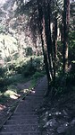 Hot Water Beach to Waitomo, stop at Kaimai-Mamku Forest
