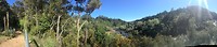 Hot Water Beach to Waitomo, stop at Kaimai-Mamku Forest