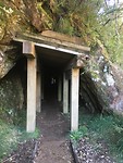 Hot Water Beach to Waitomo, stop at Kaimai-Mamku Forest