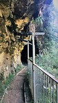 Hot Water Beach to Waitomo, stop at Kaimai-Mamku Forest