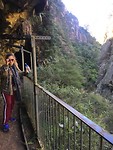 Hot Water Beach to Waitomo, stop at Kaimai-Mamku Forest