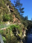 Hot Water Beach to Waitomo, stop at Kaimai-Mamku Forest