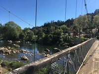 Hot Water Beach to Waitomo, stop at Kaimai-Mamku Forest