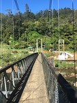 Hot Water Beach to Waitomo, stop at Kaimai-Mamku Forest