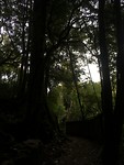 Waitomo