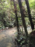 Waitomo